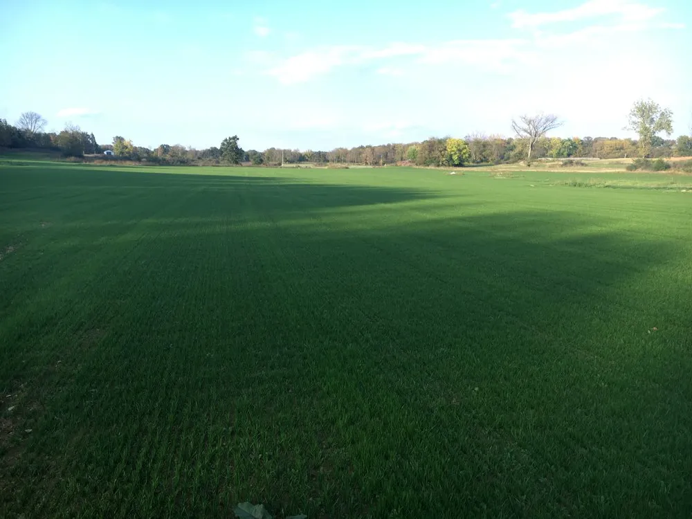 Top-rated landscape design near you across Kearneysville, WV - Green Horizons Turf Farm