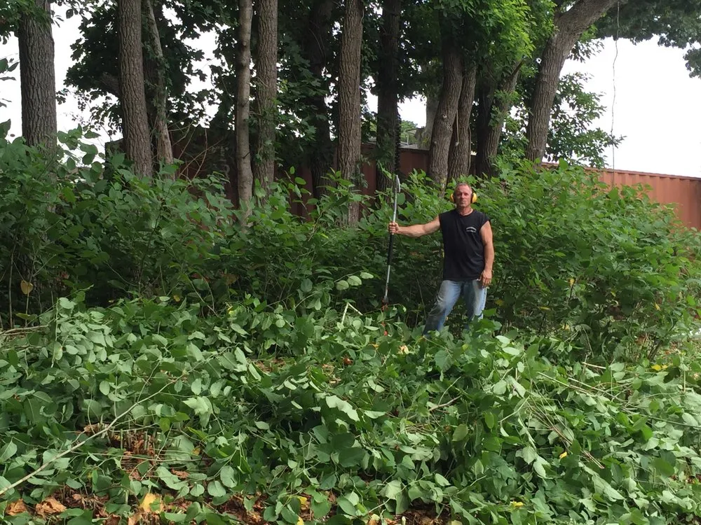 Reliable landscape design with custom design in East Northport, NY by Green Hornet Landscaping