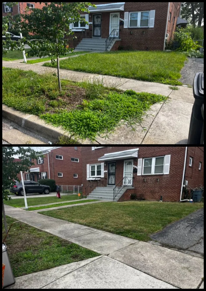 Local yard cleanup service for residential properties in Marlow Heights, MD by Green Hornet Lawn Service and Home Maintenance