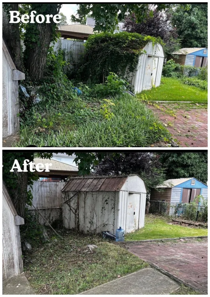 Professional yard cleanup service with custom design in Marlow Heights, MD by Green Hornet Lawn Service and Home Maintenance