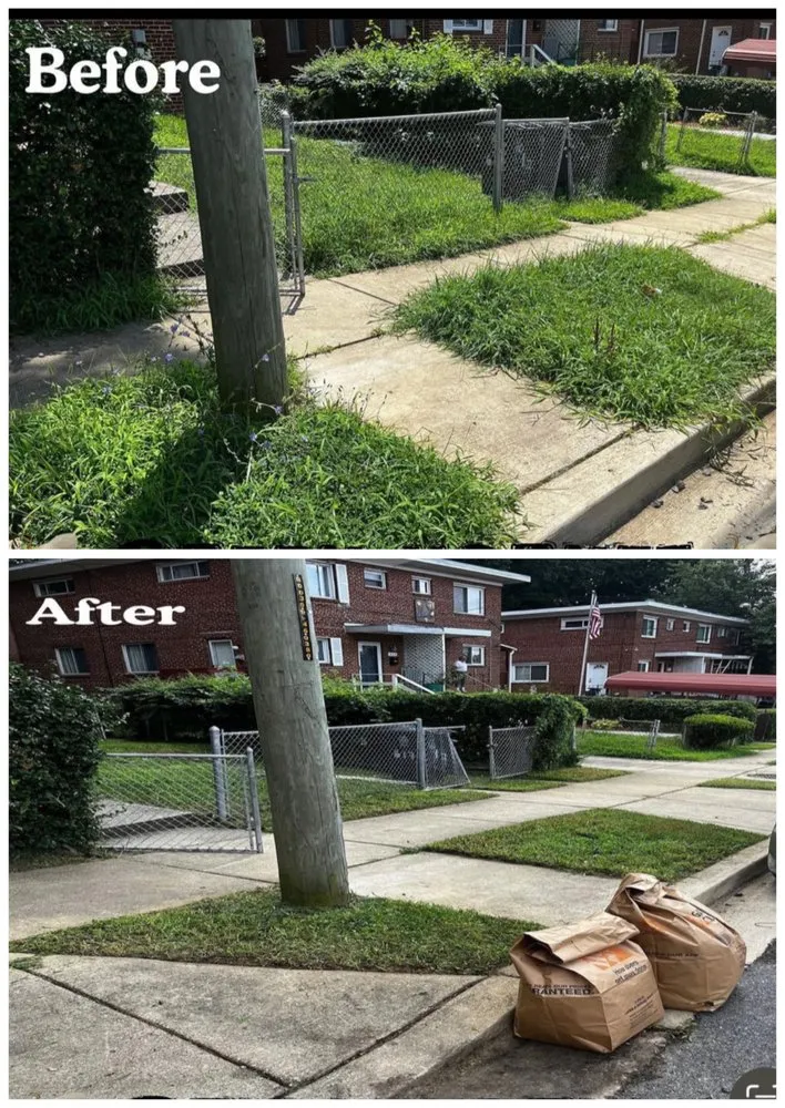 Custom outdoor landscaping experts serving Marlow Heights, MD - Green Hornet Lawn Service and Home Maintenance