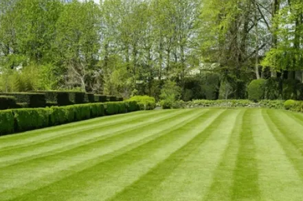 Custom landscaping services in Parrish, AL - Green Horse Landscaping And Irrigation