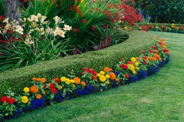 Affordable yard maintenance for homes across Parrish, AL - Green Horse Landscaping And Irrigation