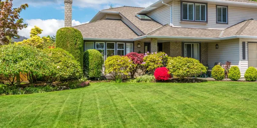 Expert yard cleanup service in Parrish, AL by Green Horse Landscaping And Irrigation