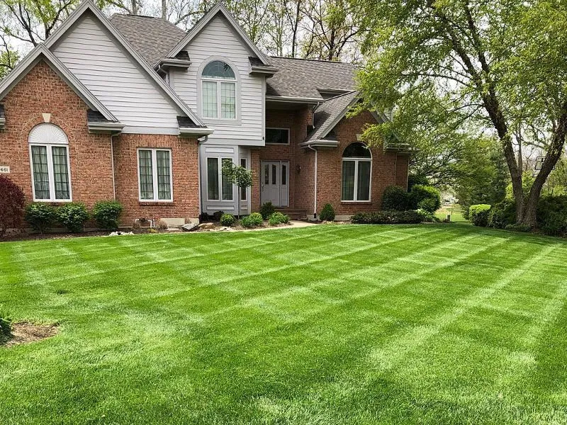 Reliable yard cleanup service for outdoor upgrades across Parrish, AL - Green Horse Landscaping And Irrigation