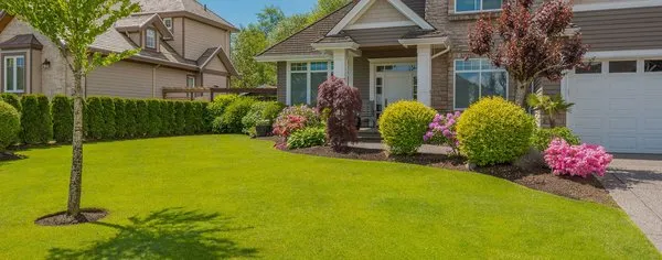 Green Horse Landscaping And Irrigation
