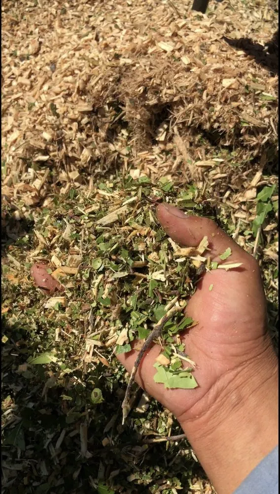 Custom outdoor landscaping with custom design across Santa Barbara, CA - Green Horticulturist. Grounds Management Services