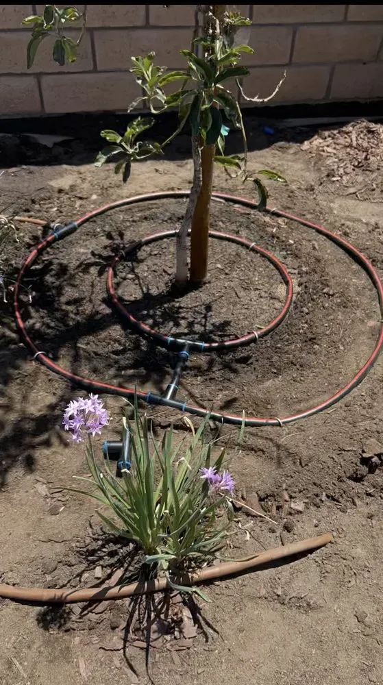 Affordable residential landscaping in Santa Barbara, CA - Green Horticulturist. Grounds Management Services