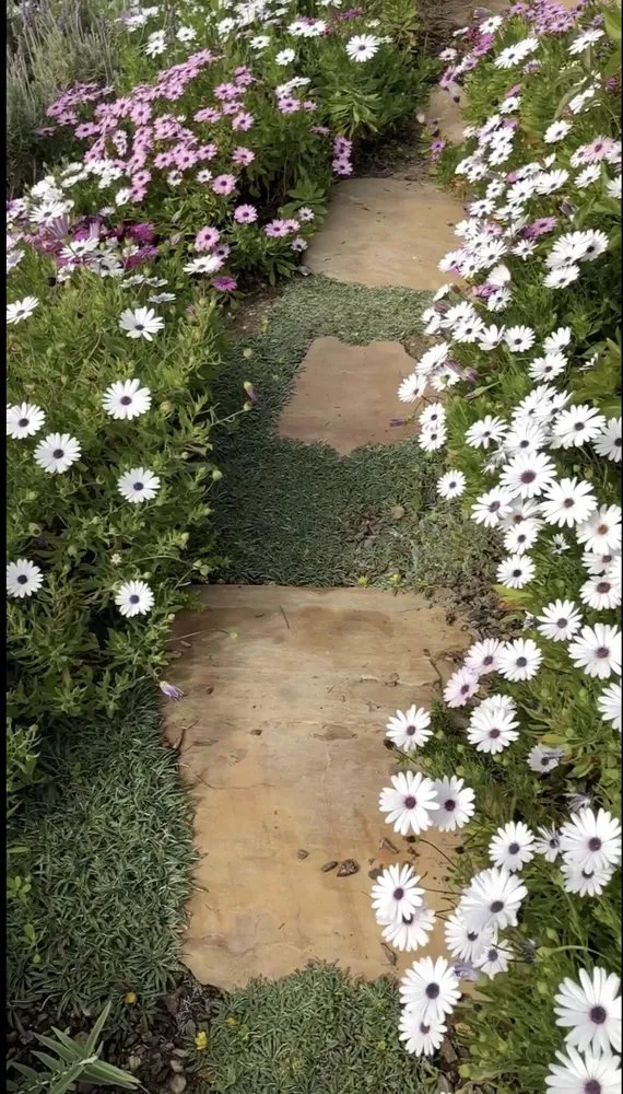 Local landscape installation with custom design in Santa Barbara, CA by Green Horticulturist. Grounds Management Services