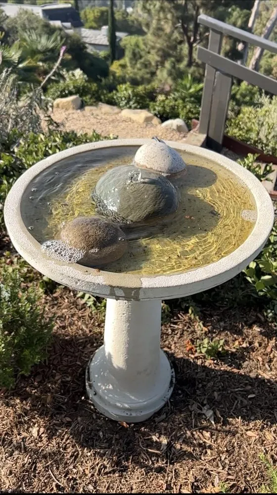 Affordable yard maintenance in Santa Barbara, CA by Green Horticulturist. Grounds Management Services