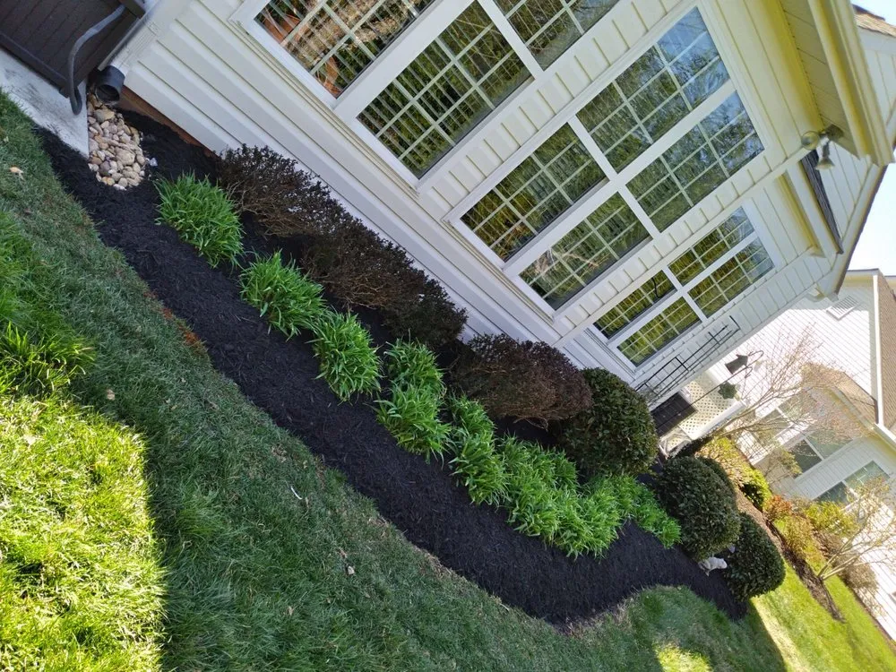 Reliable yard cleanup service in Henrico, VA - Green House Landscaping
