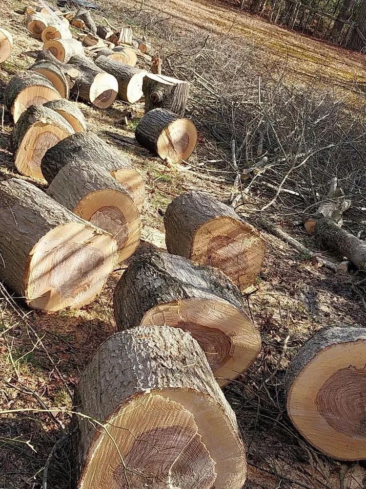 Top-rated lawn care service for year-round maintenance in Henrico, VA by Green House Landscaping