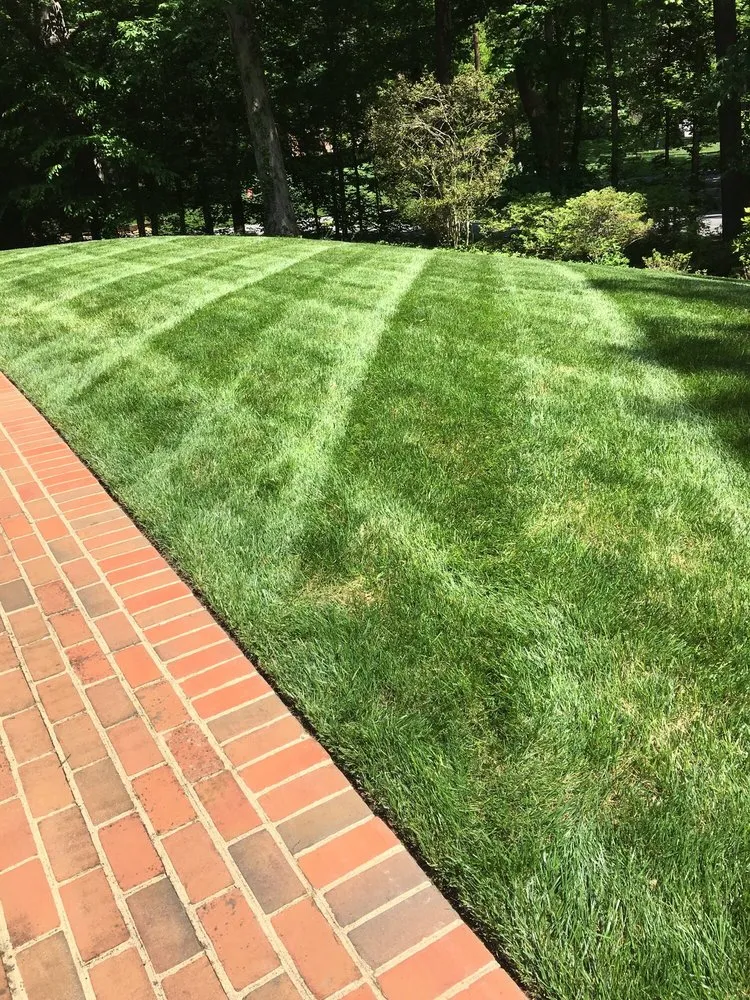 Expert landscape design for homes across Richmond, VA - Green House Landscaping