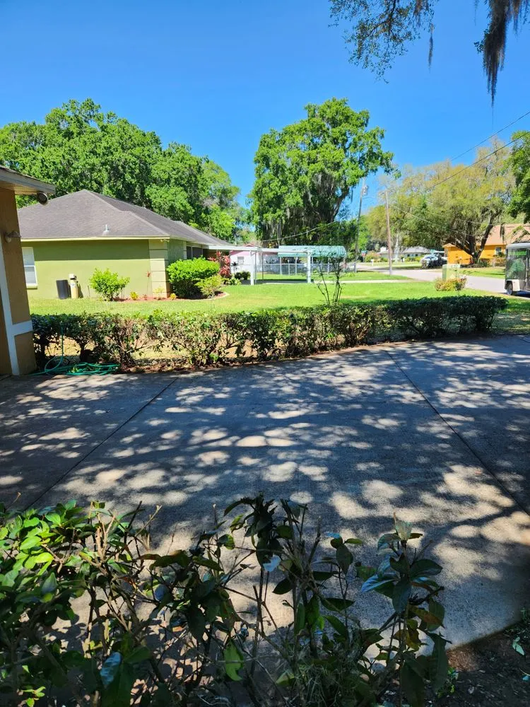 Top-rated outdoor landscaping for homes in Lakeland, FL by Green Iguana Lawn Service