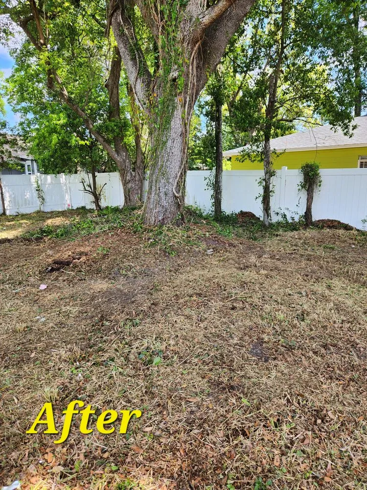 Custom landscape installation in Lakeland, FL by Green Iguana Lawn Service