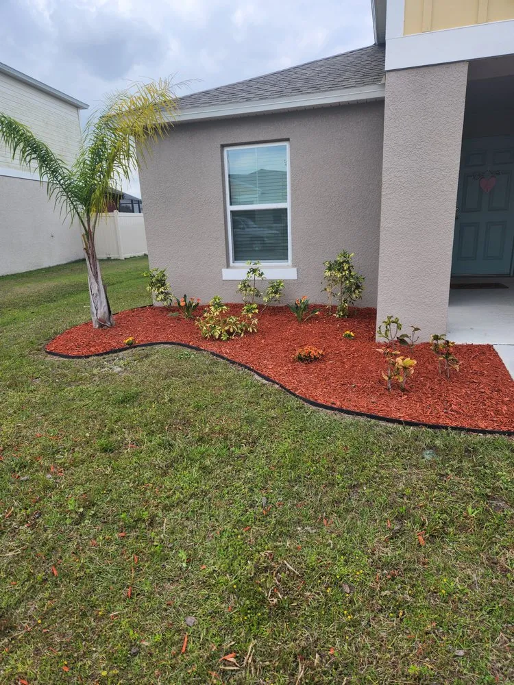 Local yard cleanup service for year-round maintenance across Lakeland, FL - Green Iguana Lawn Service
