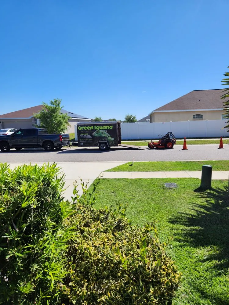 Local landscaping services in Lakeland, FL - Green Iguana Lawn Service