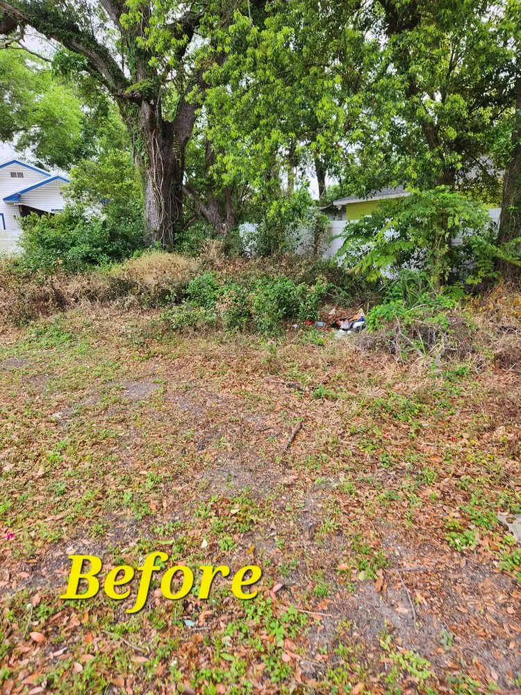 Top-rated garden landscaping in Lakeland, FL - Green Iguana Lawn Service