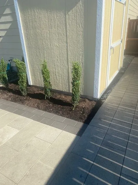 Trusted yard maintenance in Pacific, WA by Green Image Landscape Services