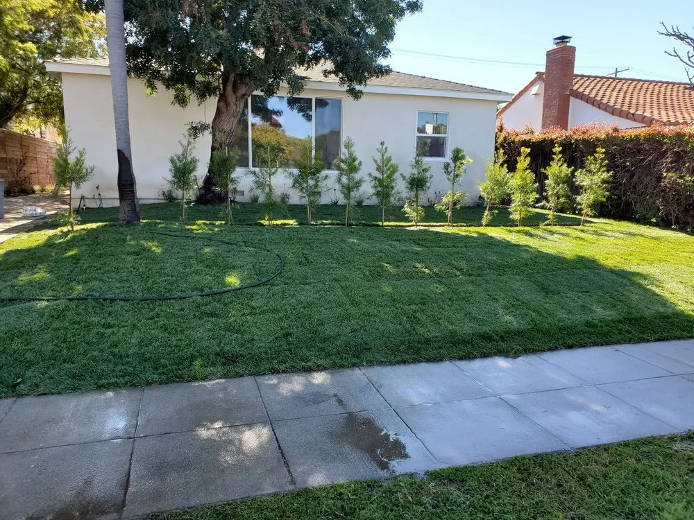 Expert landscaping services for beautiful yards in Manhattan Beach, CA by Green Image Landscaping