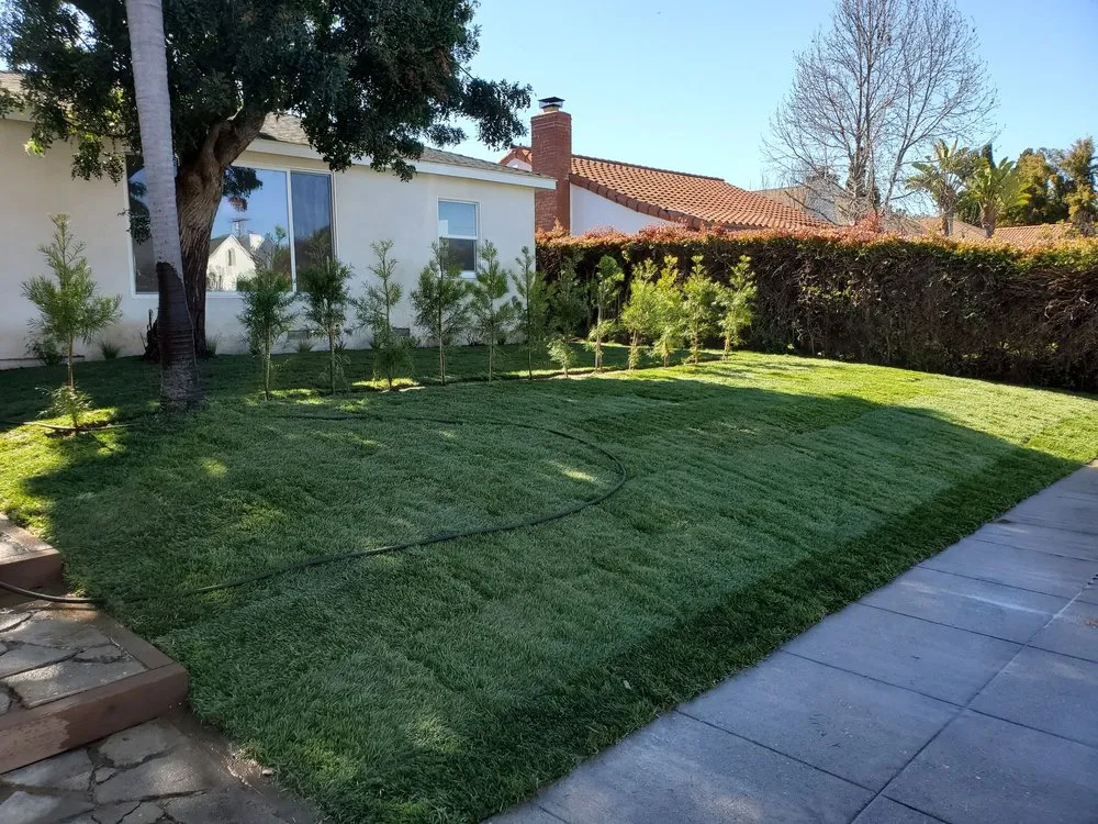 Custom outdoor landscaping in Manhattan Beach, CA by Green Image Landscaping