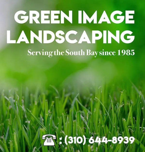 Professional yard cleanup service for outdoor upgrades across Manhattan Beach, CA - Green Image Landscaping