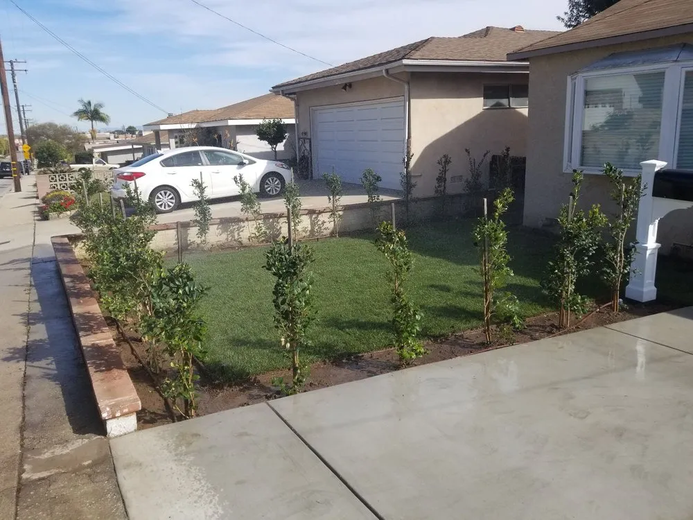 Local outdoor landscaping for outdoor upgrades in Manhattan Beach, CA by Green Image Landscaping