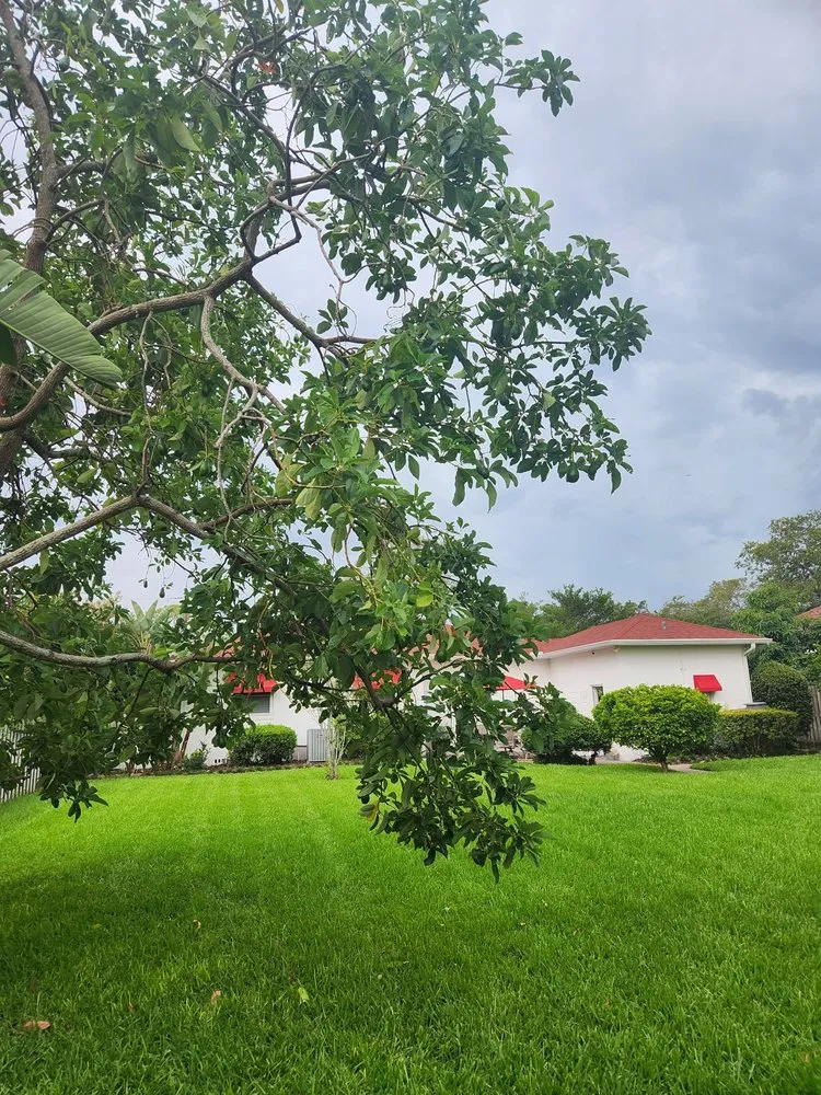 Affordable lawn mowing service for outdoor upgrades in Tampa, FL by Green Image Lawn and Pest Control Services