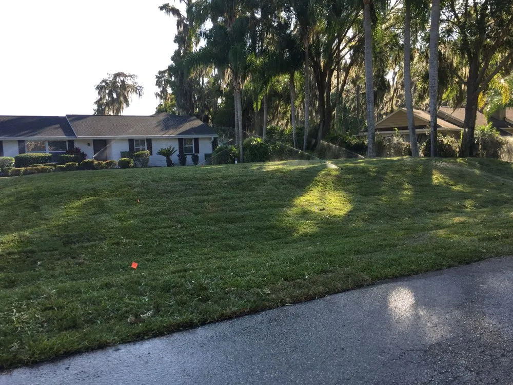 Top-rated yard maintenance with custom design across Tampa, FL - Green Image Lawn and Pest Control Services