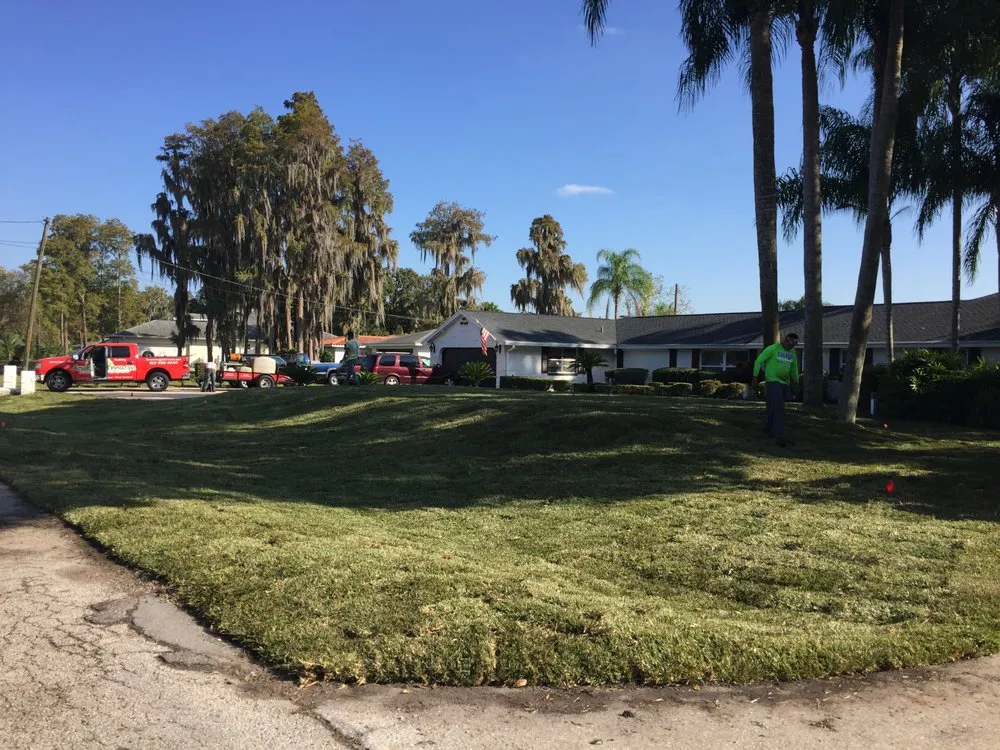 Affordable garden landscaping with custom design in Tampa, FL by Green Image Lawn and Pest Control Services