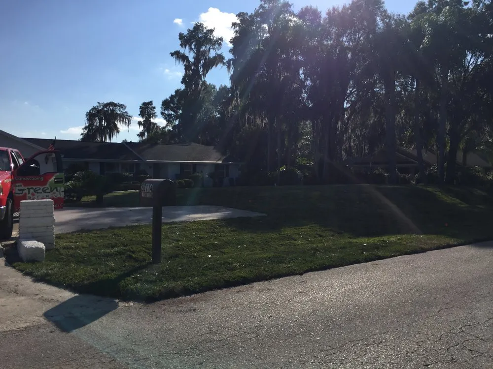 Professional yard cleanup service with custom design in Tampa, FL by Green Image Lawn and Pest Control Services