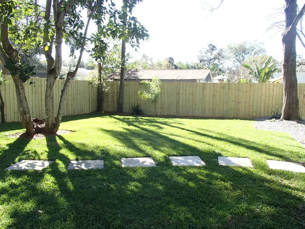 Expert yard maintenance in Tampa, FL by Green Image Lawn and Pest Control Services