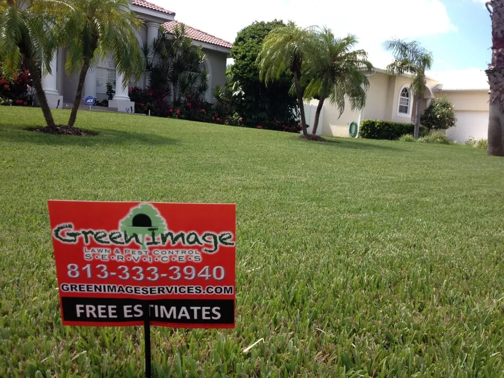 Expert yard cleanup service for residential properties across Tampa, FL - Green Image Lawn and Pest Control Services