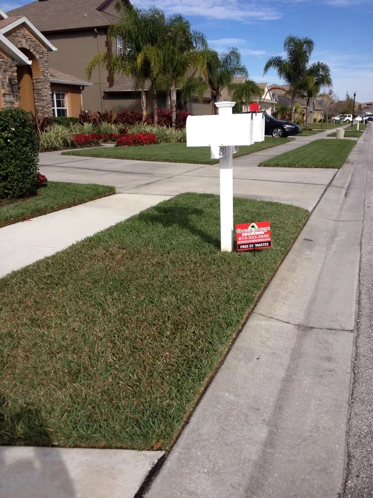 Expert landscape installation in Tampa, FL by Green Image Lawn and Pest Control Services