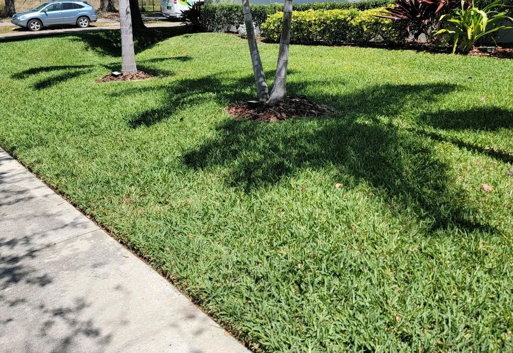 Top-rated garden landscaping in Tampa, FL - Green Image Lawn and Pest Control Services