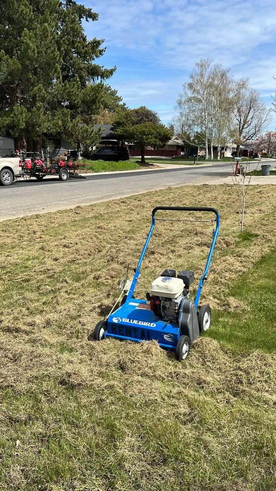 Professional yard cleanup service in Zillah, WA - Green Image Lawn Maintenance