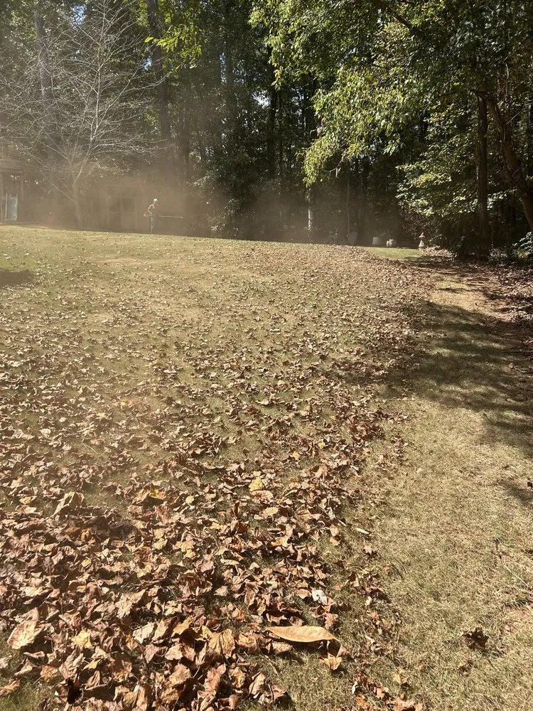 Professional lawn care service in Fairburn, GA by Green Image Scapes