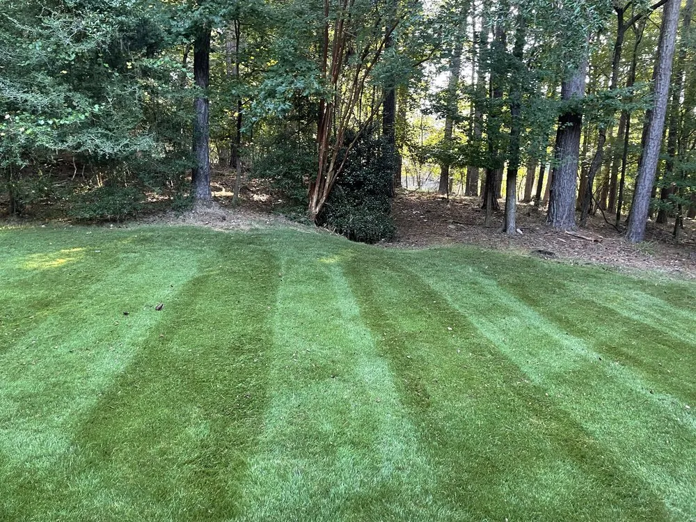 Custom outdoor landscaping for outdoor upgrades across Fairburn, GA - Green Image Scapes