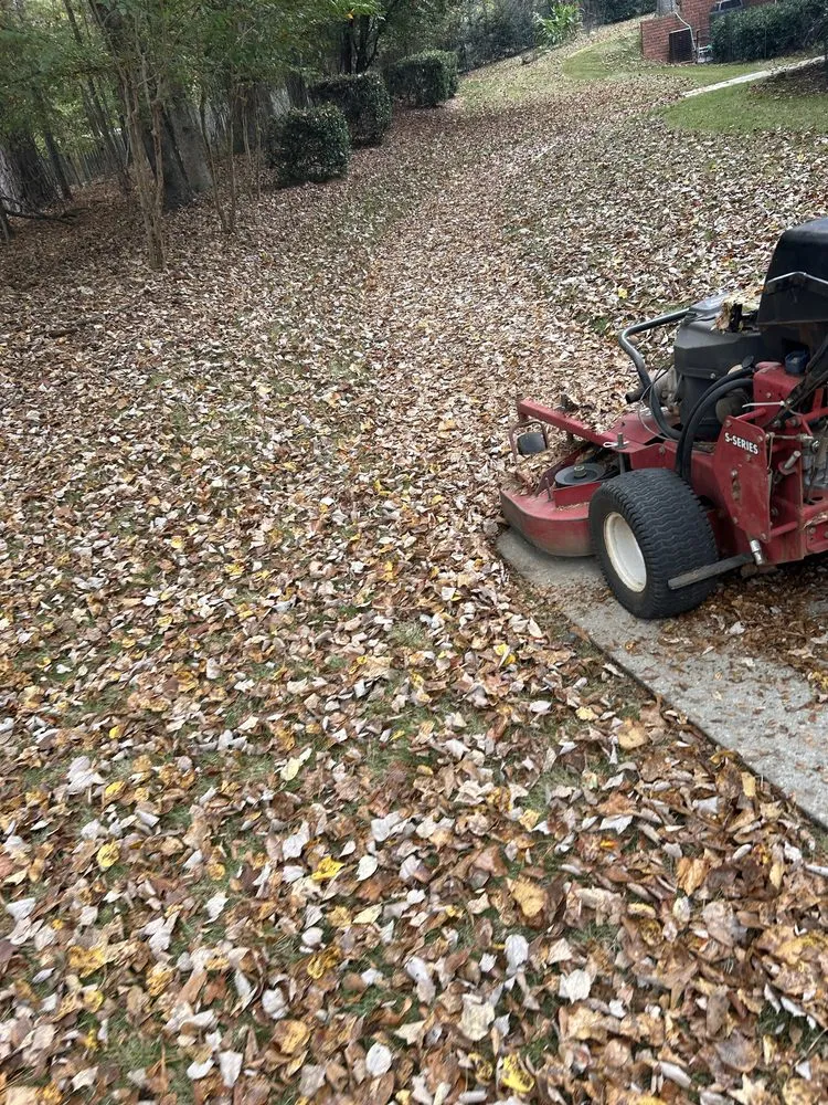 Professional landscape design in Fairburn, GA - Green Image Scapes