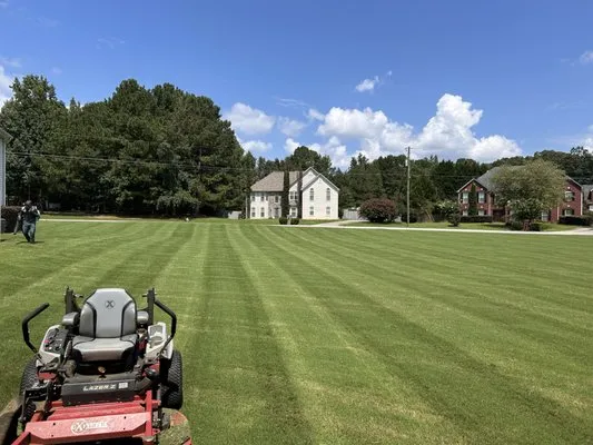 Green Image Scapes Logo