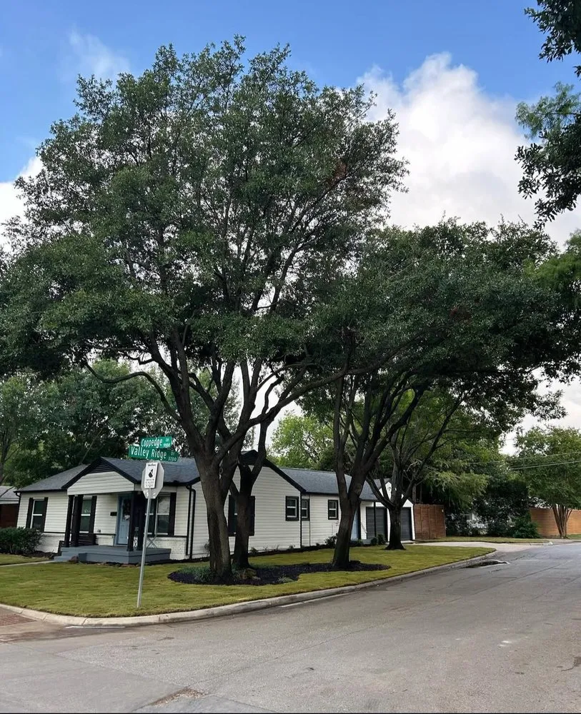 Reliable yard maintenance experts serving Arlington, TX - Green Image Tree Service