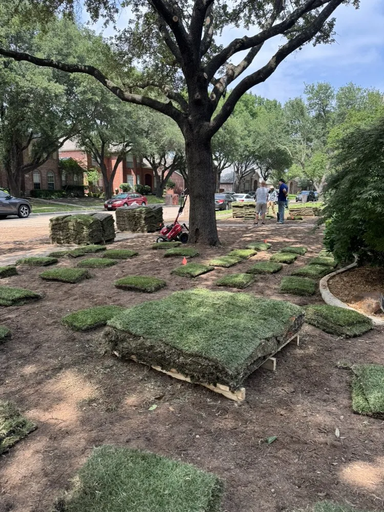 Trusted yard cleanup service for beautiful yards in Arlington, TX by Green Image Tree Service