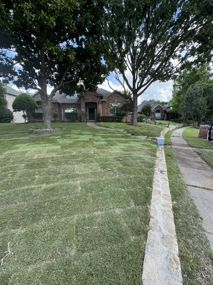 Trusted landscape installation in Arlington, TX - Green Image Tree Service