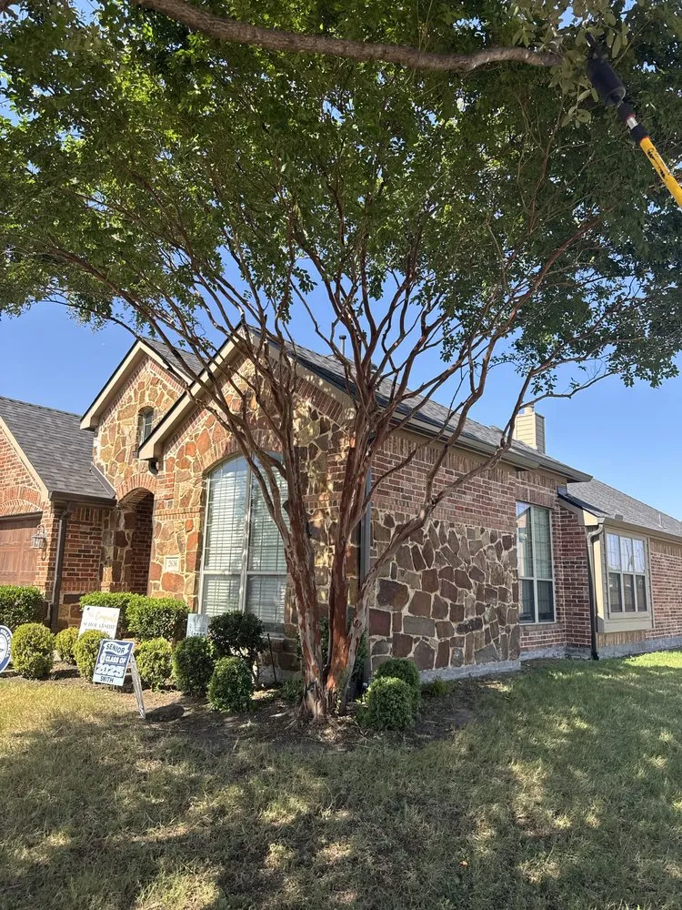 Professional yard maintenance experts serving Arlington, TX - Green Image Tree Service