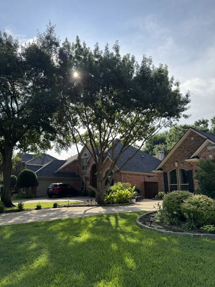 Expert garden landscaping in Arlington, TX by Green Image Tree Service