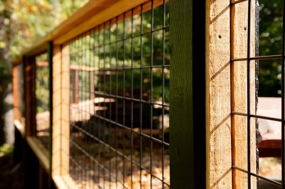 Expert yard maintenance in Petaluma, CA - Green Images and Design