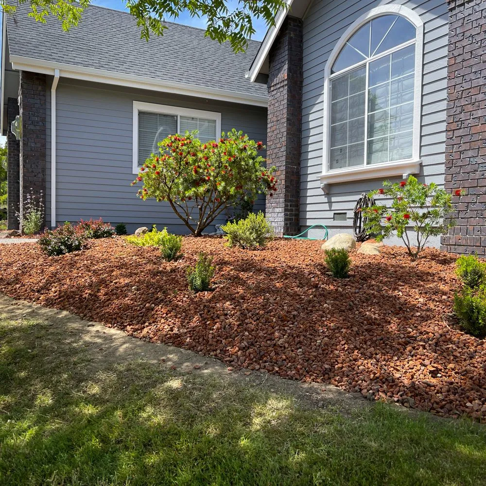 Reliable yard cleanup service for year-round maintenance in Petaluma, CA by Green Images and Design