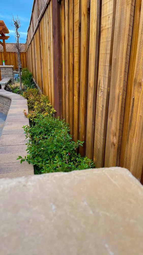 Top-rated yard cleanup service in Petaluma, CA - Green Images and Design