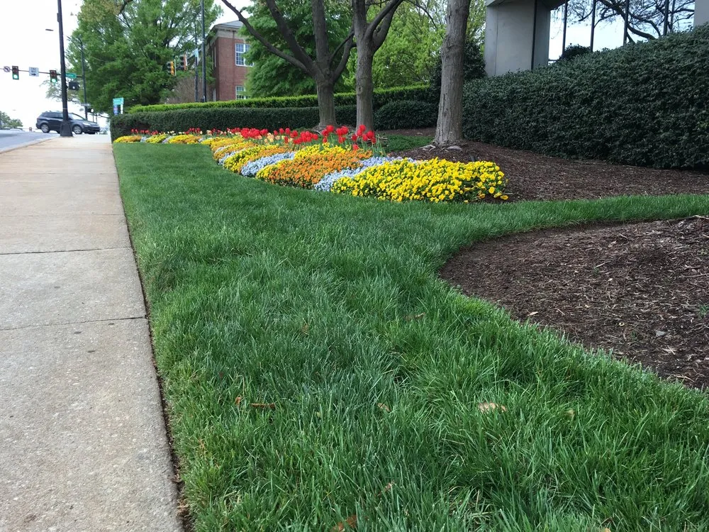 Professional landscaping services near you across Greenville, SC - Green Impact