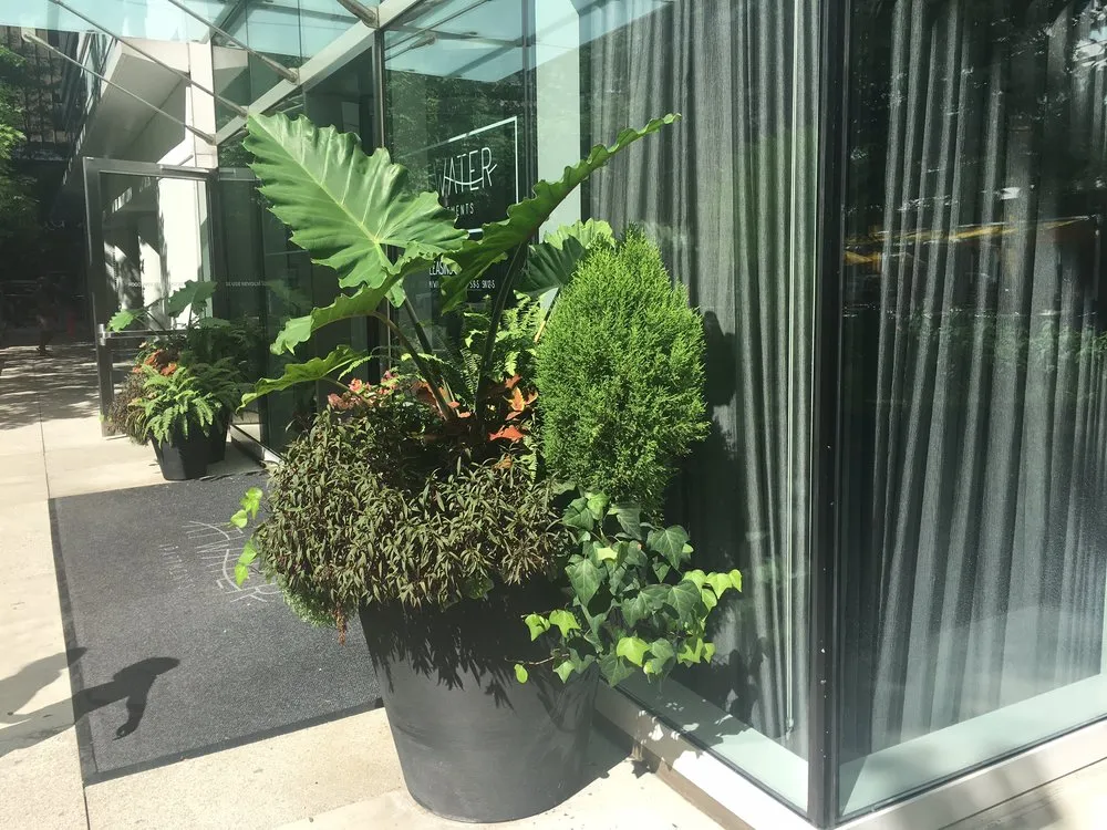 Reliable lawn mowing service for residential properties across Greenville, SC - Green Impact